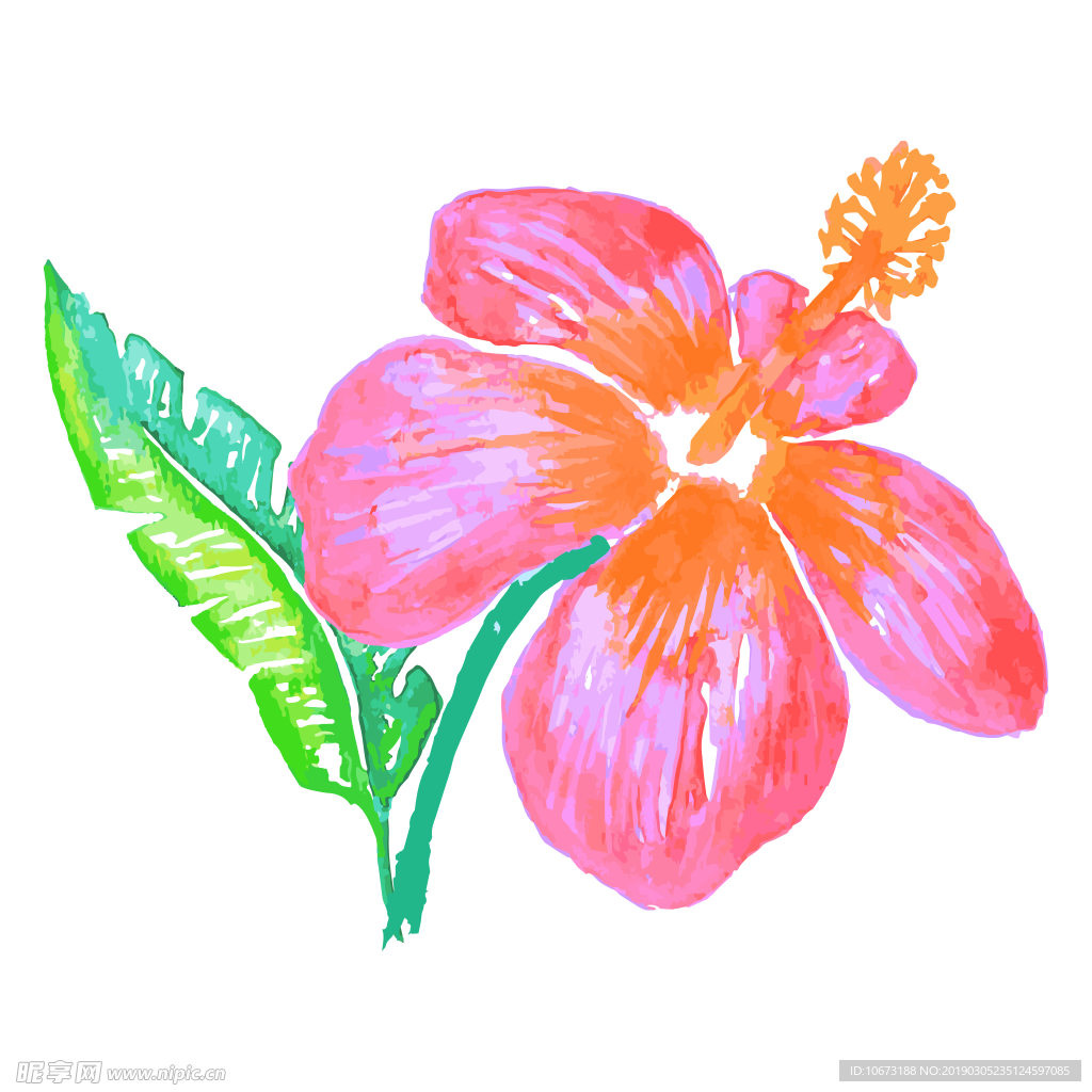 水彩植物图片