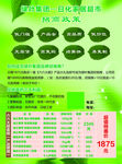 绿叶