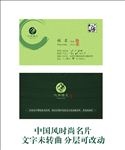 绿色名片