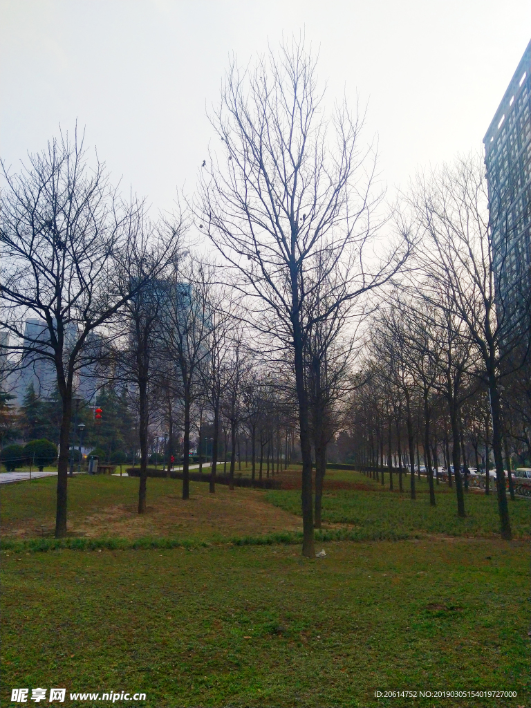 城市公园风景