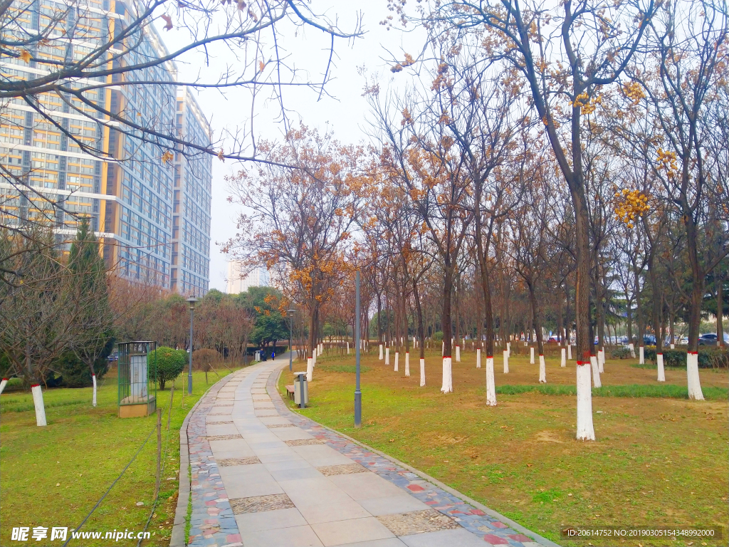 城市公园风景