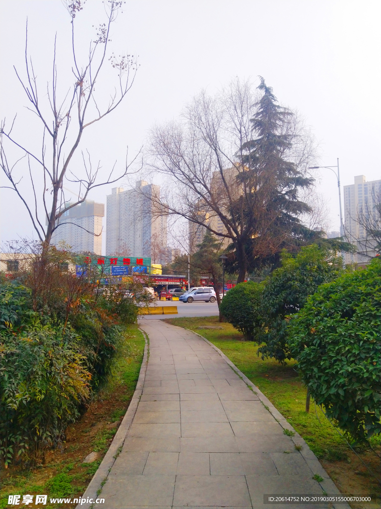 城市公园风景