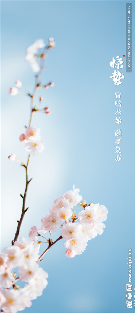 惊蛰海报