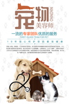 宠物美容师海报