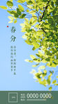 春分微信图