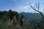 骆驼山峰