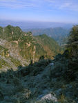 高山森林