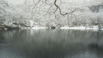 长白山小天池雪景