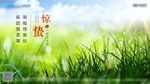 节气 惊蛰  发芽 开春 小草