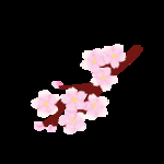 花瓣