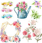 花纹