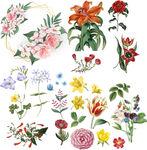 花纹
