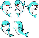 海豚