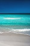 海洋