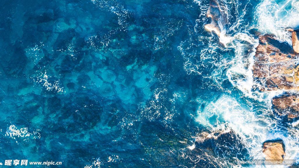 海洋