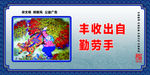 传统美德