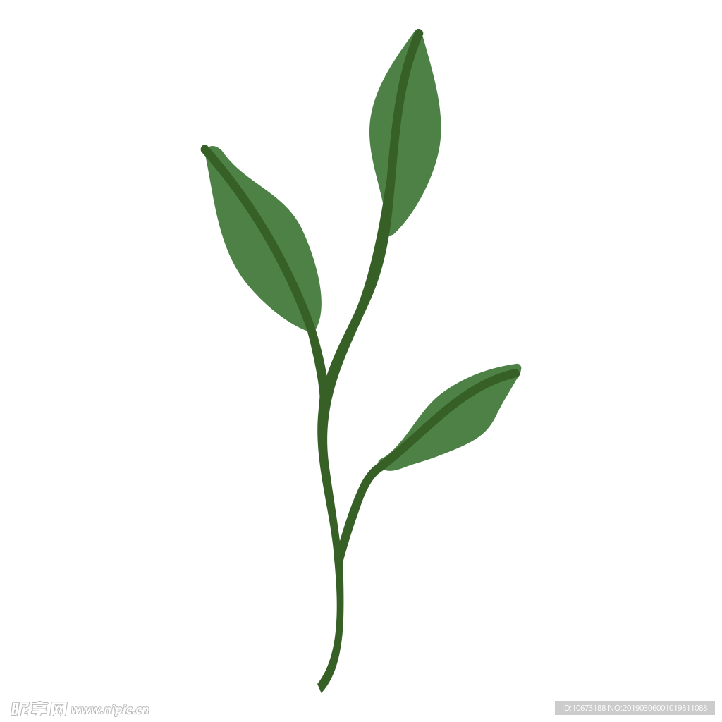 水彩植物图片
