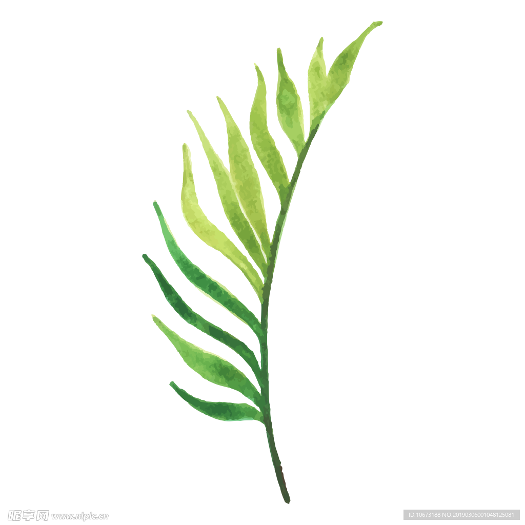 水彩植物图片