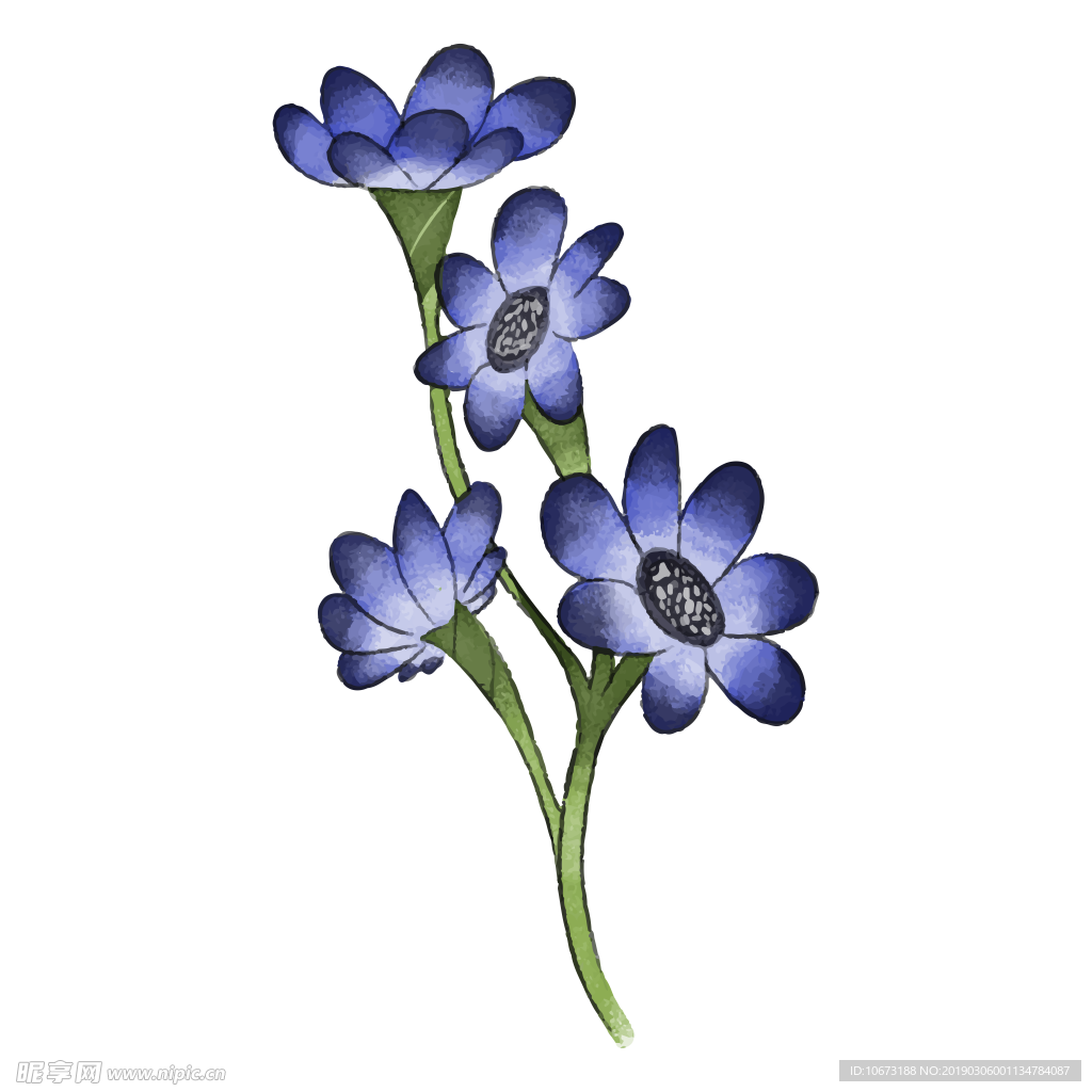水彩植物图片