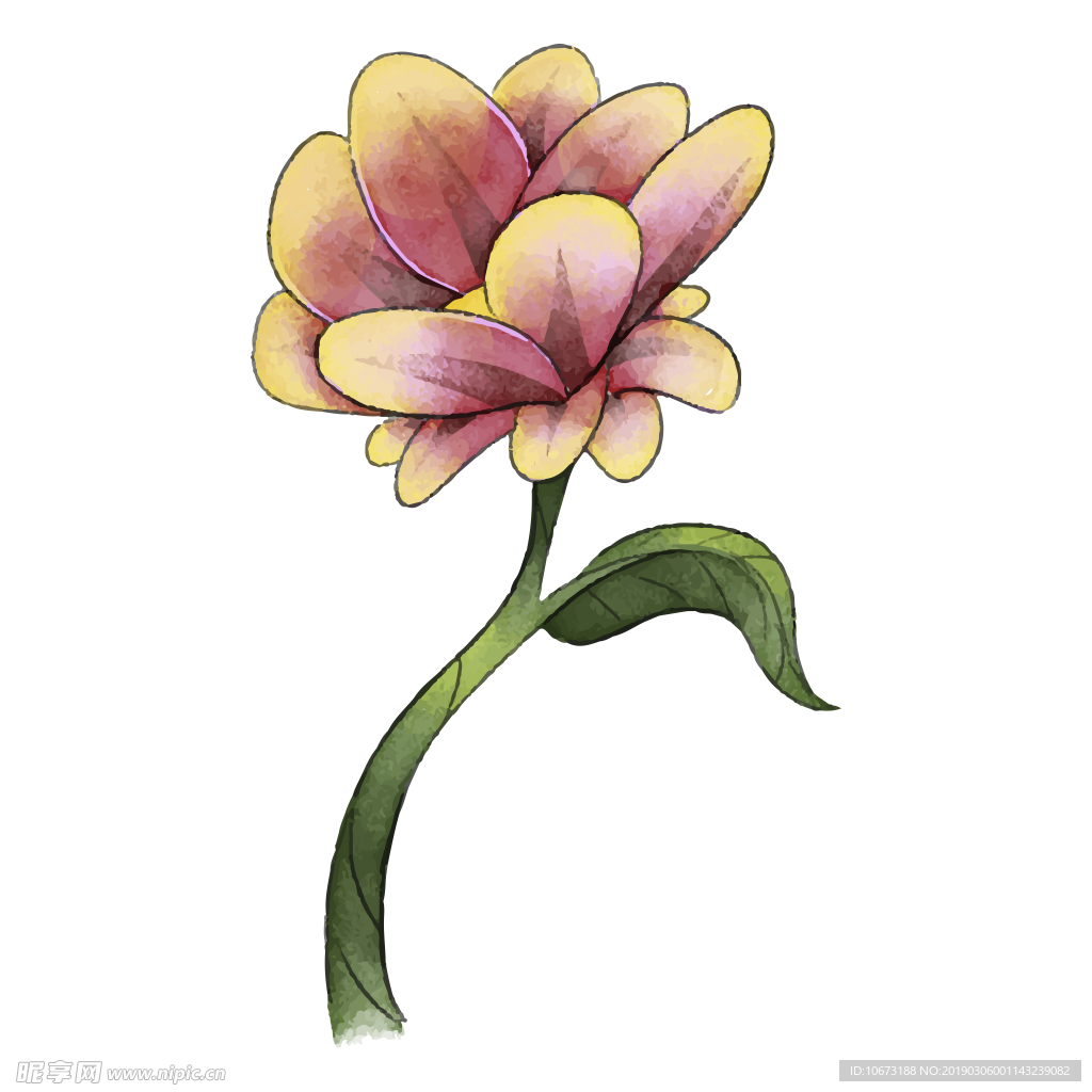 水彩植物图片