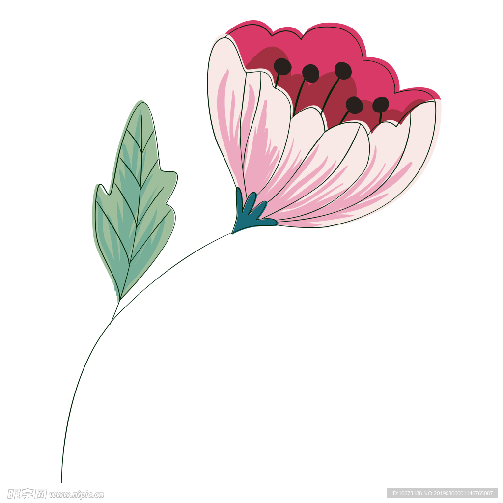 水彩植物图片
