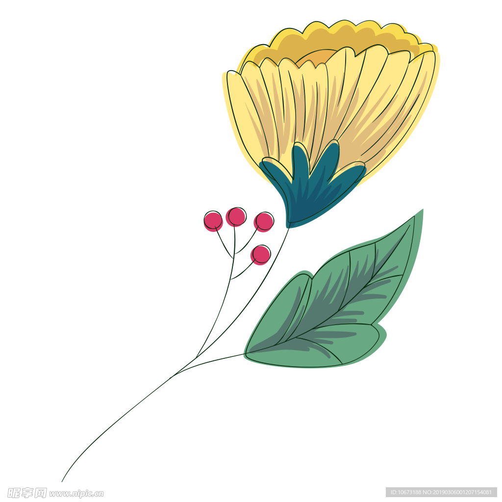 水彩植物图片