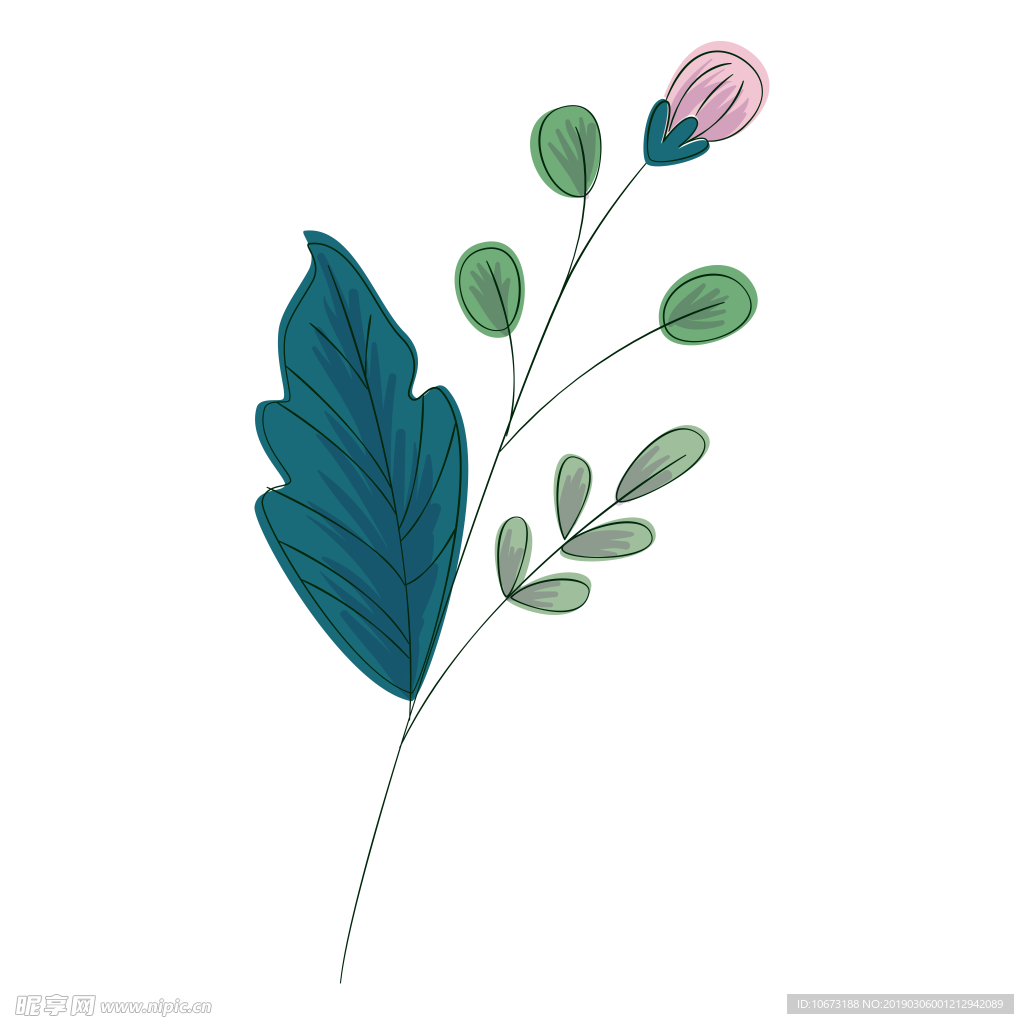 水彩植物图片