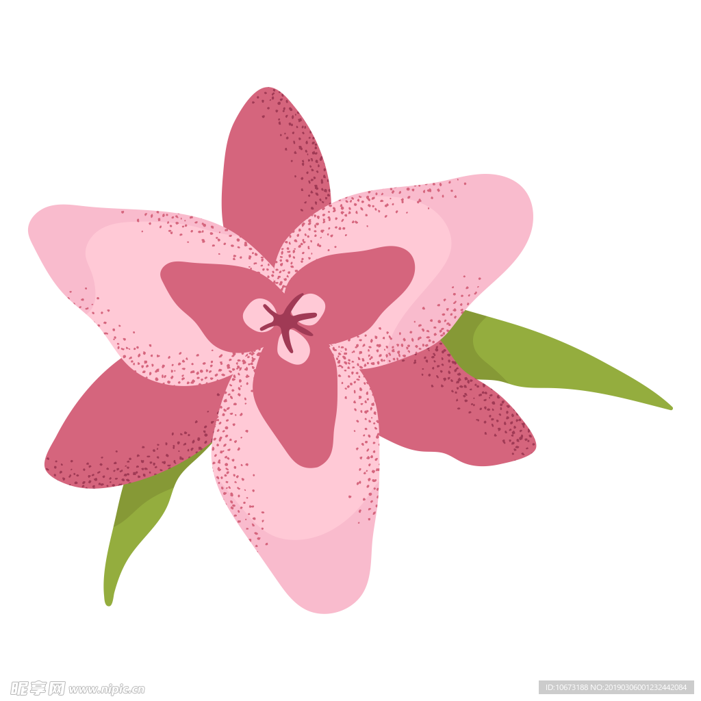 水彩植物图片