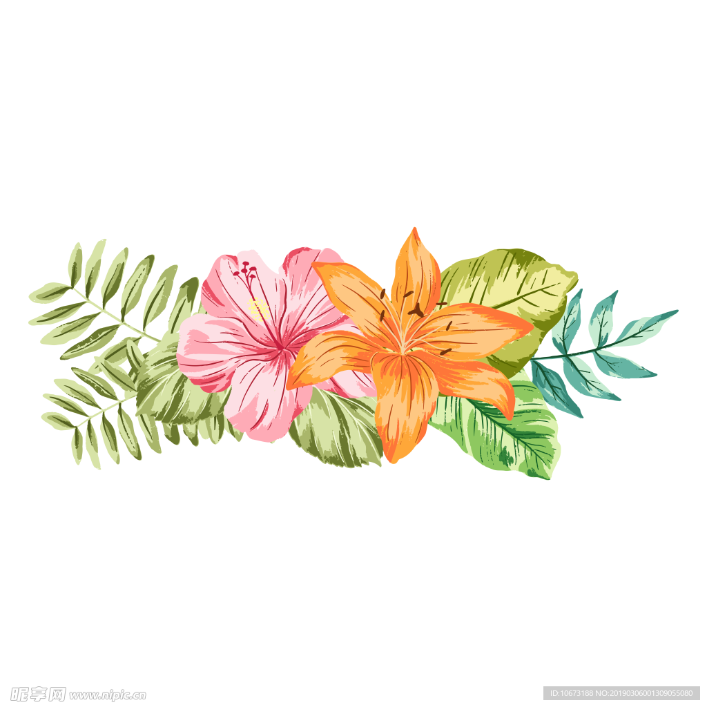 水彩植物图片