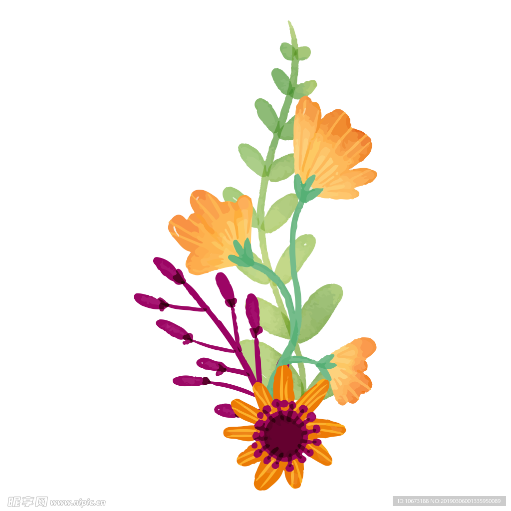 水彩植物图片