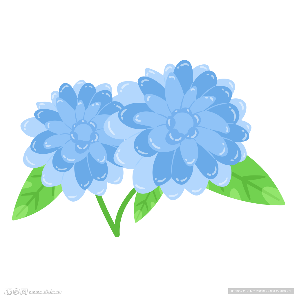 水彩植物图片