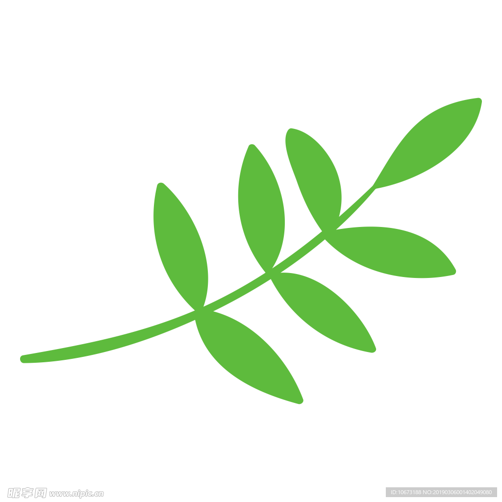 水彩植物图片