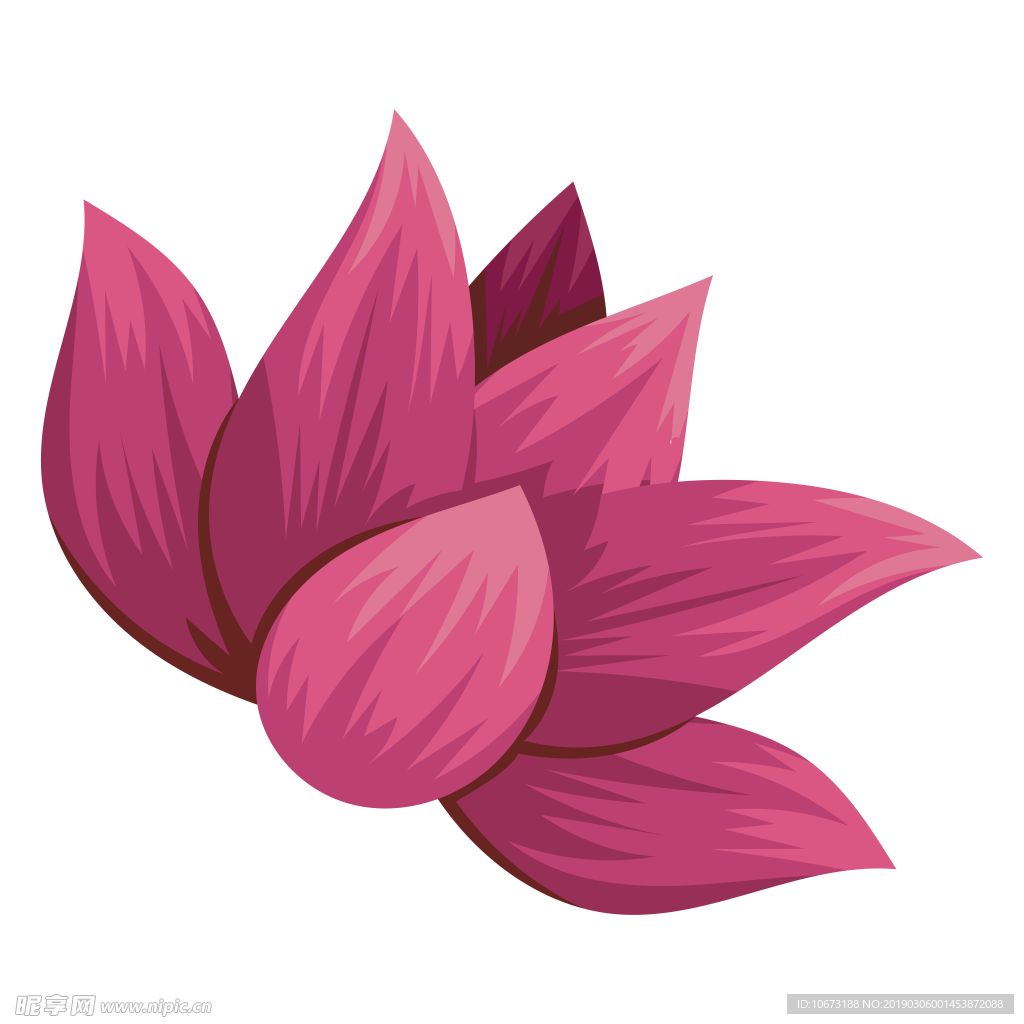 水彩植物图片