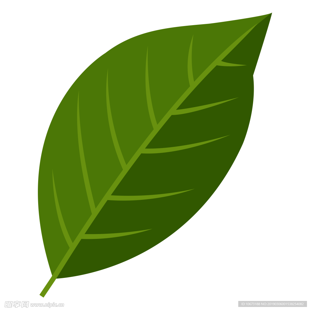 水彩植物图片