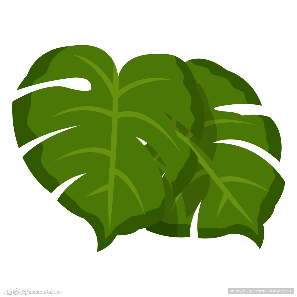 水彩植物图片