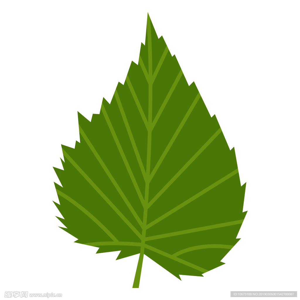 水彩植物图片