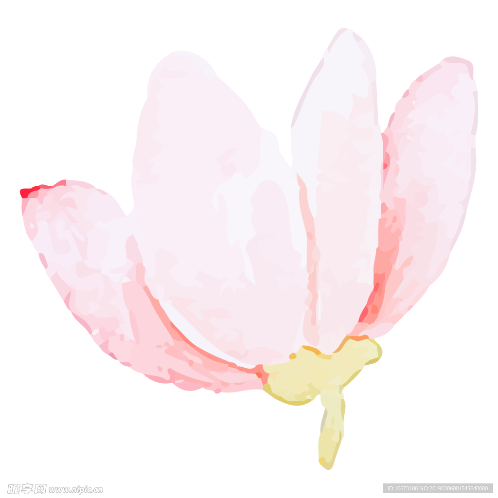 水彩植物图片