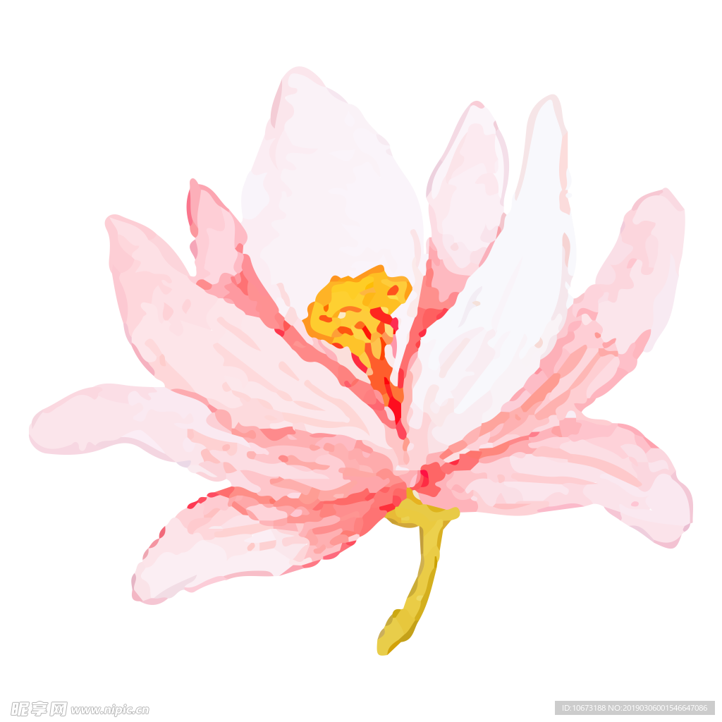 水彩植物图片