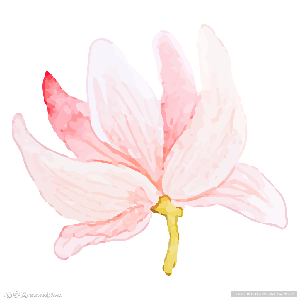 水彩植物图片
