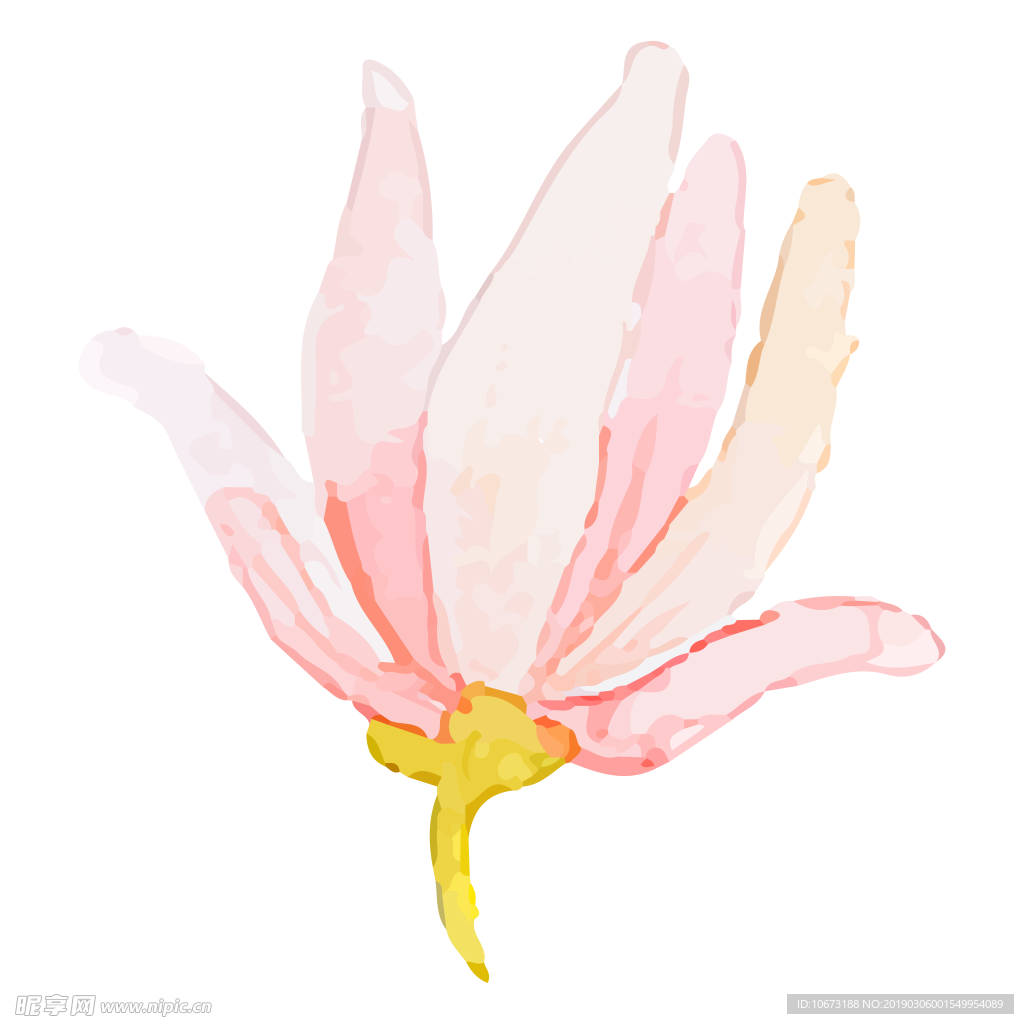 水彩植物图片