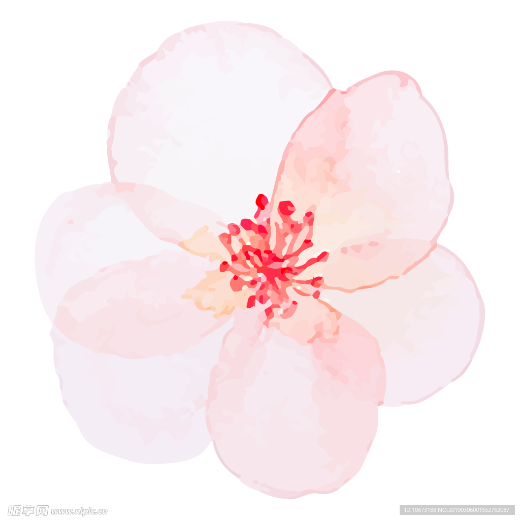 水彩植物图片