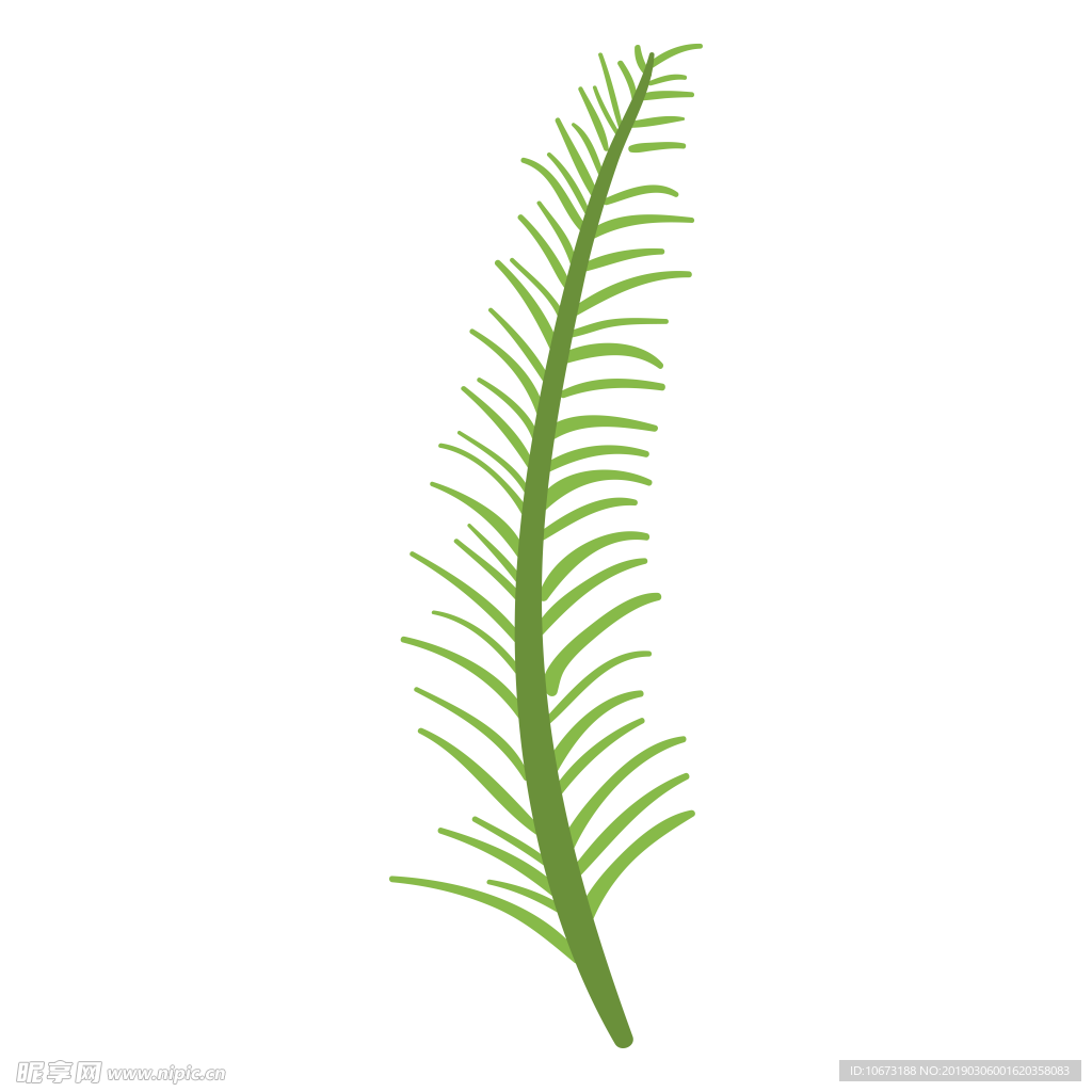 水彩植物图片