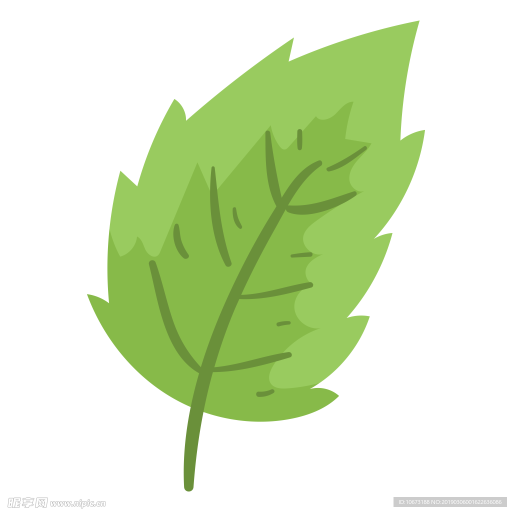 水彩植物图片