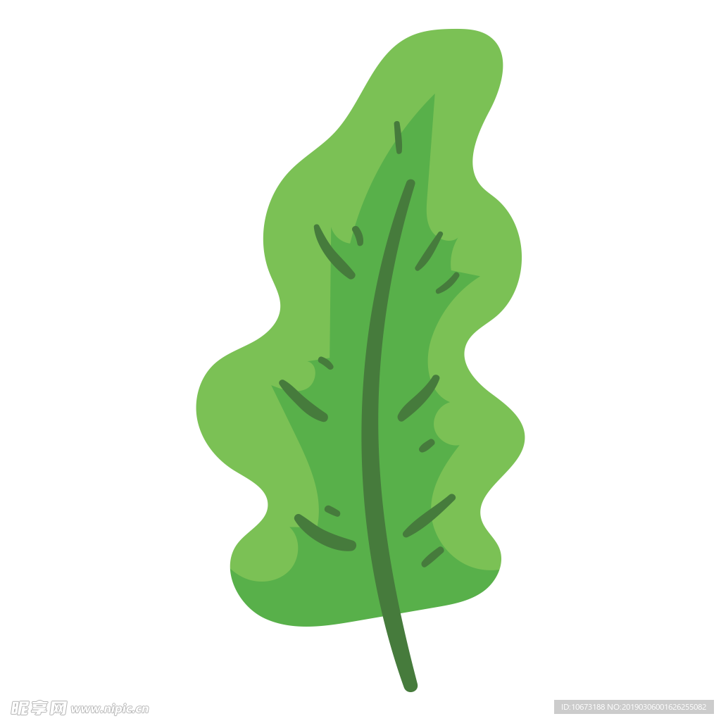 水彩植物图片