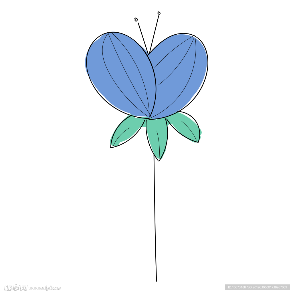 水彩植物图片