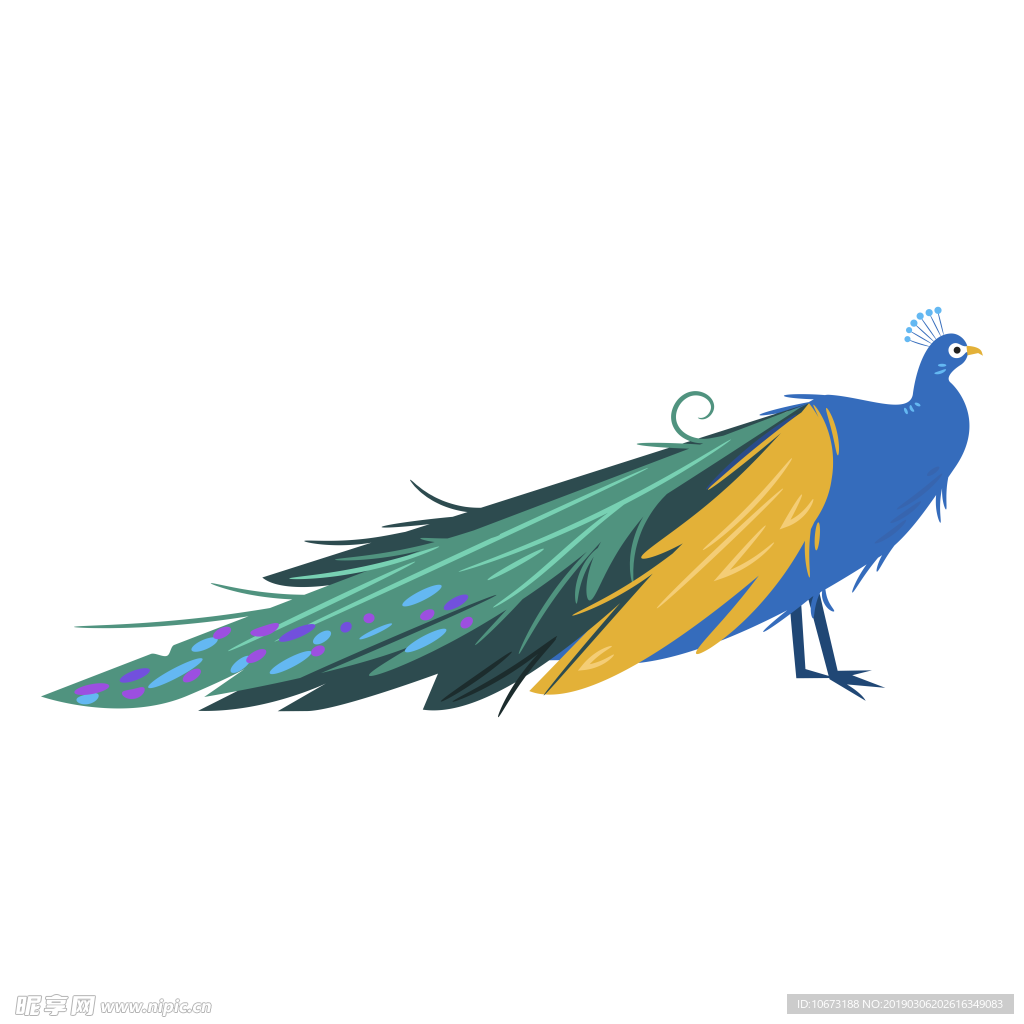 卡通孔雀图片