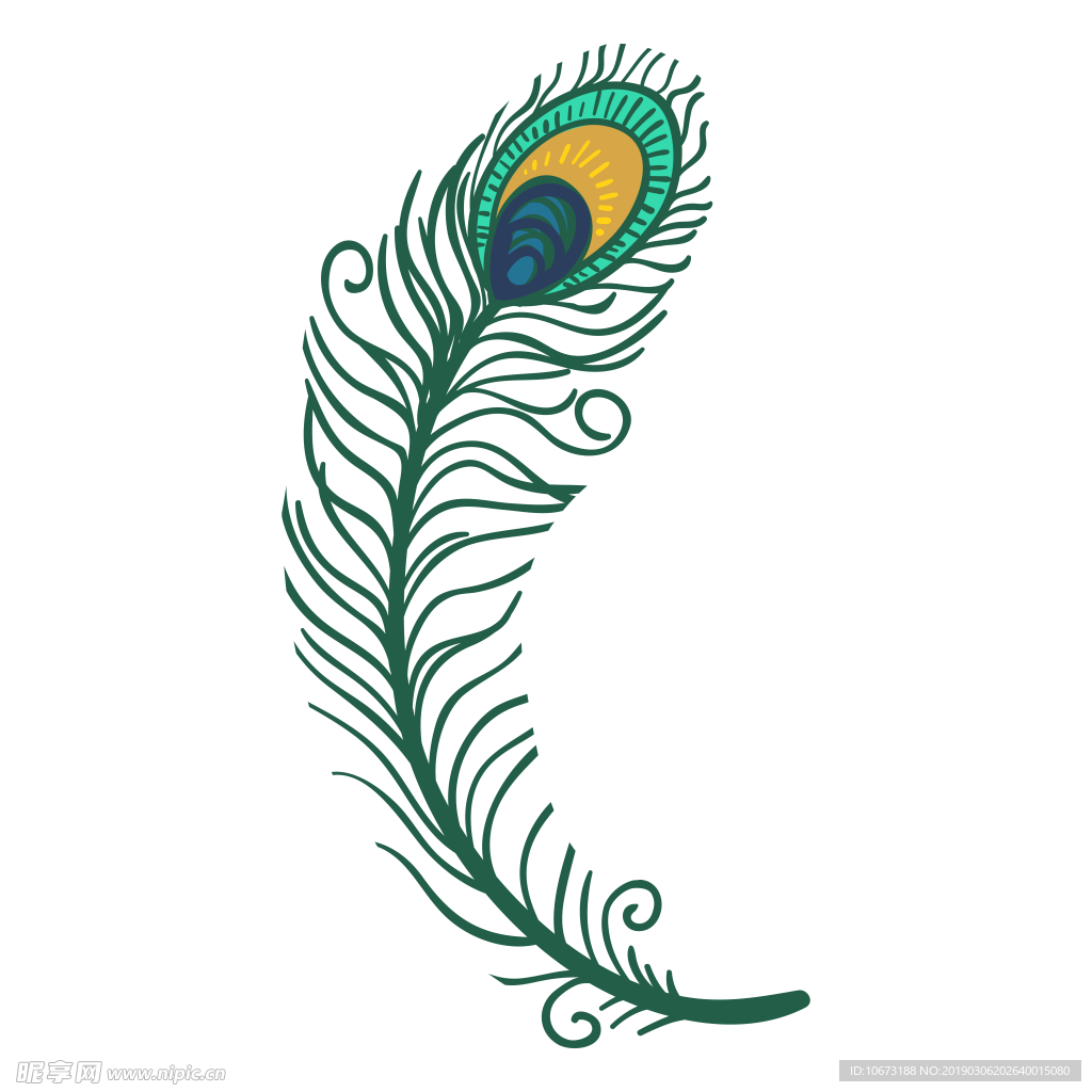 卡通孔雀图片
