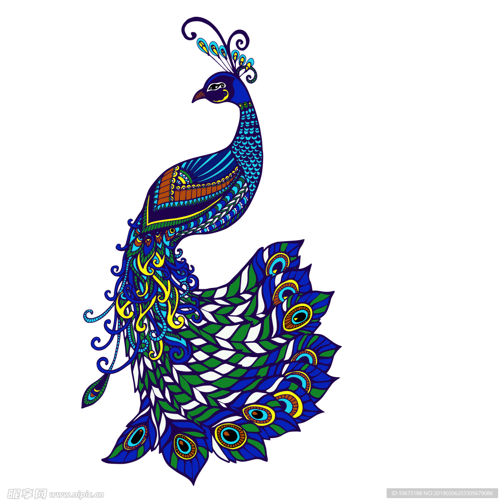 卡通孔雀图片