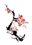 梅花素材
