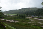 田园河流